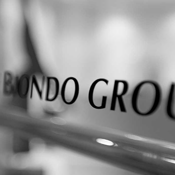 Welcome to the Biondo Group