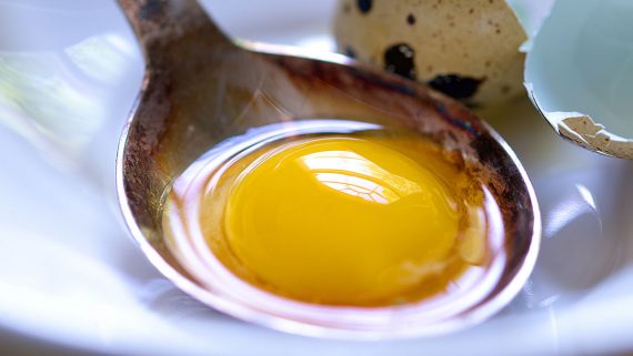 egg yolk in spoon