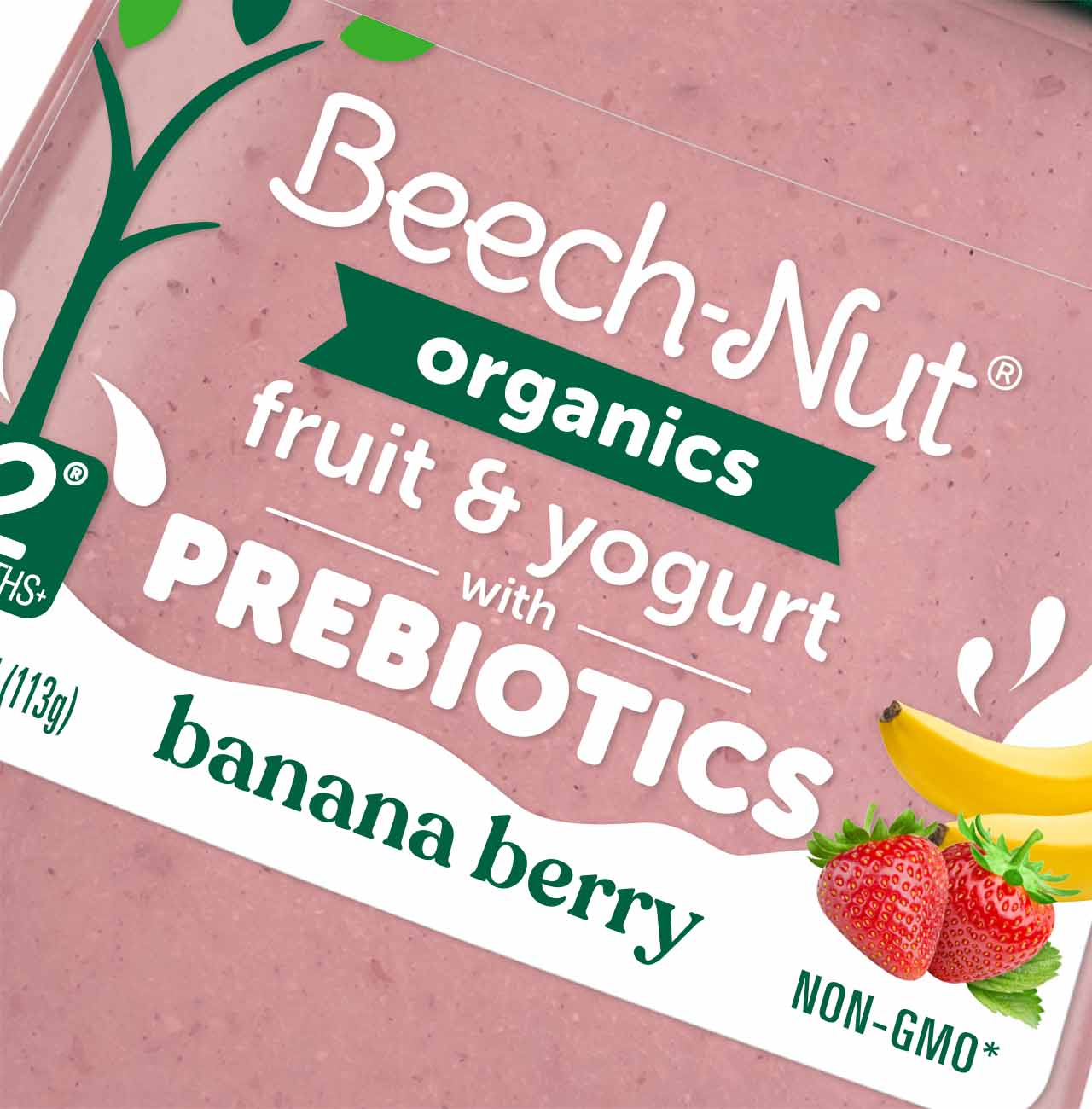 Beech-Nut Organic Prebiotic Banana Berry jar detail